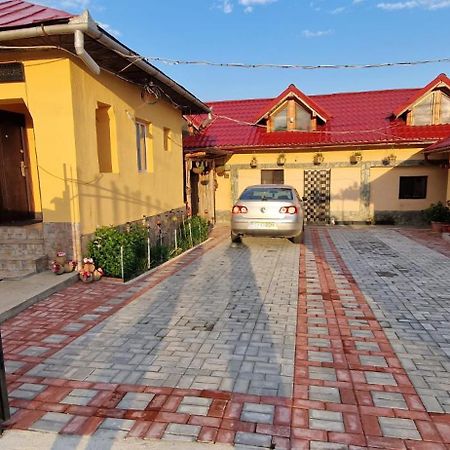 Hotel Casa Andreea Novaci-Străini Exterior foto